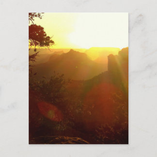 Almost Jurassic Postcard