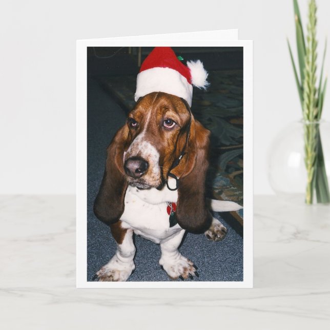 Almost Max Holiday Card (Front)