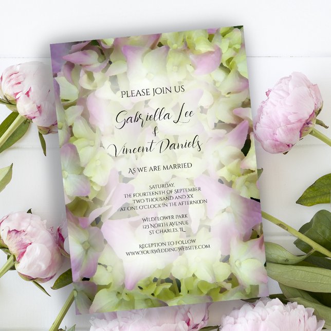 Almost Pink Hydrangea Wedding Invitation (Creator Uploaded)
