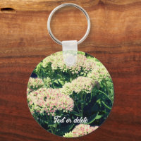Almost Sedum Flower Personalized