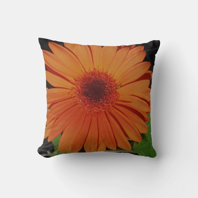 almost solid orange pillow, orange gerber daisy throw pillow (Front)