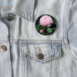 Alnwick Castle Rose 2 Inch Round Button