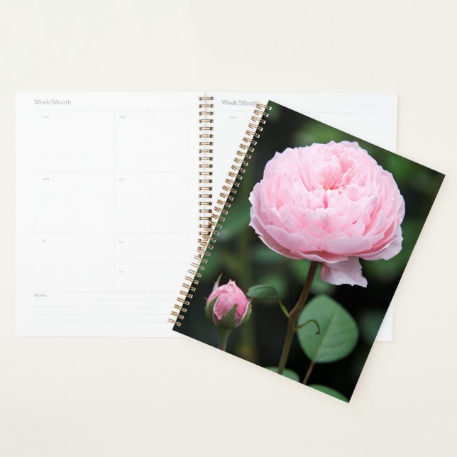 Alnwick Castle Rose Planner (Display)