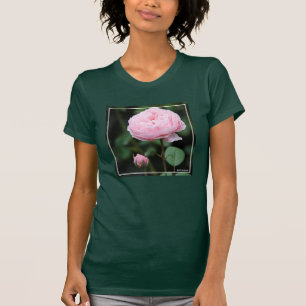 Alnwick Castle Rose T-Shirt
