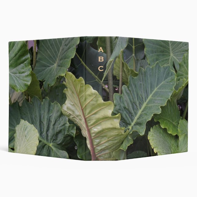Alocasia Leaves Binder (Background)