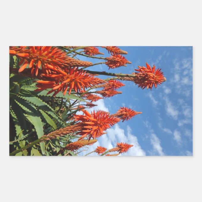 Aloe Arborescens stickers (Front)
