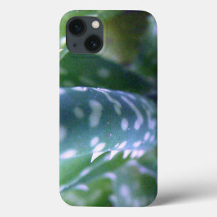 Aloe, Bug's View iPhone 13 Case