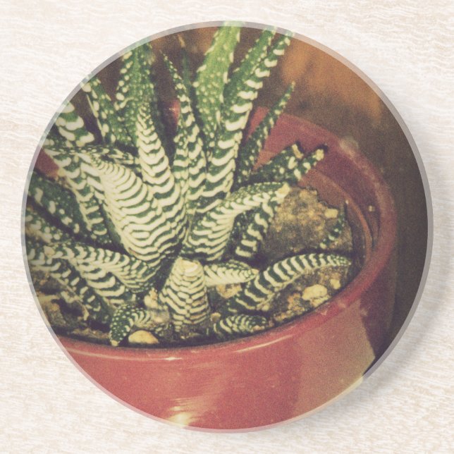 aloe coaster (Front)