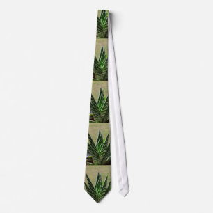 Aloe "Gator" Variegata Succulent Tie