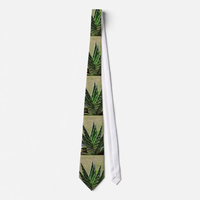 Aloe "Gator" Variegata Succulent Tie (Front)