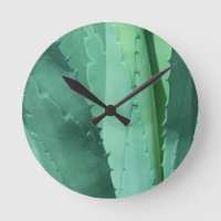 Aloe - Macro Fine Art Photograph