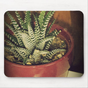 aloe mouse pad