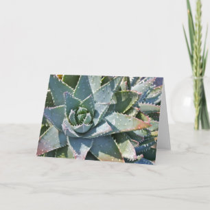 Aloe note card by Debra Lee Baldwin