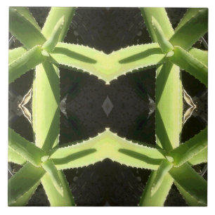 Aloe Pattern 3h Tile