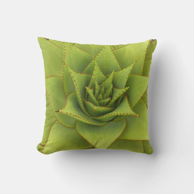Aloe pillow by Debra Lee Baldwin (Front)