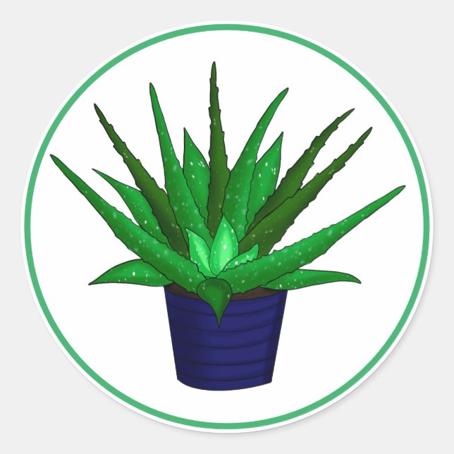 Aloe Vera Hand Drawn Houseplant Art   Classic Round Sticker (Front)