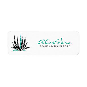 Aloe Vera Illustration Noire Et Turquoise