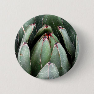 Aloe Vera Photo Plante Lover Round Badge