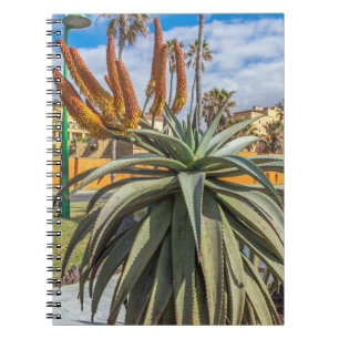 Aloe Vera plant and flowers notebook