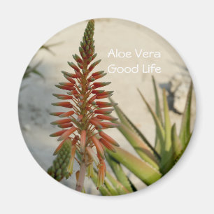 Aloe Vera plant flower Button Magnet
