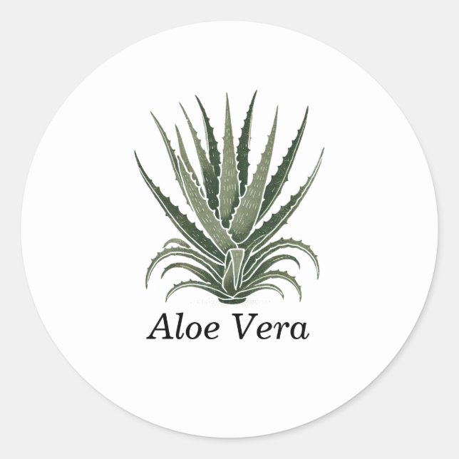Aloe Vera Plant Herbal Apothecary  Classic Round Sticker (Front)