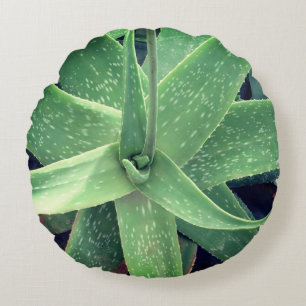 Aloe Vera Plant  Round Pillow