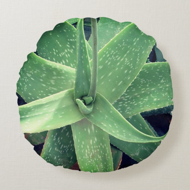 Aloe Vera Plant  Round Pillow (Front)