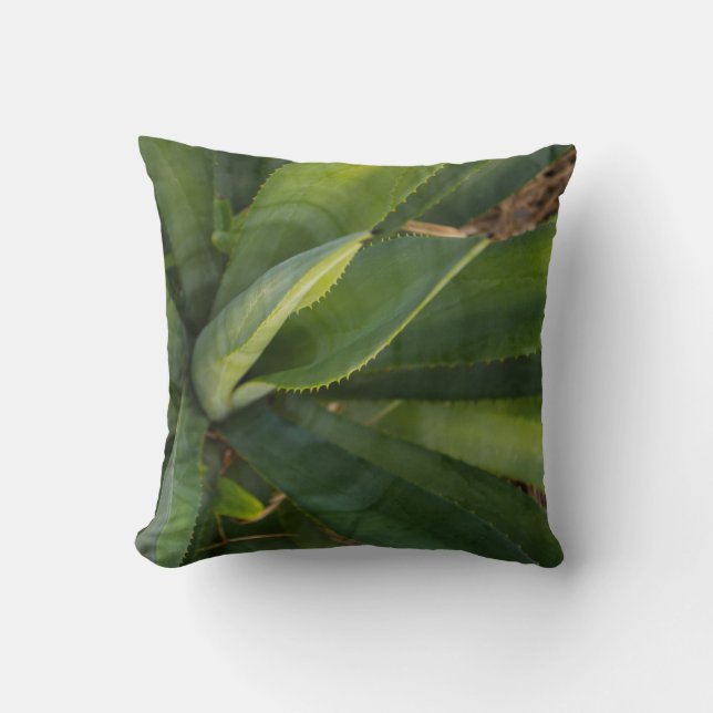 Aloe Vera Throw Pillow (Front)