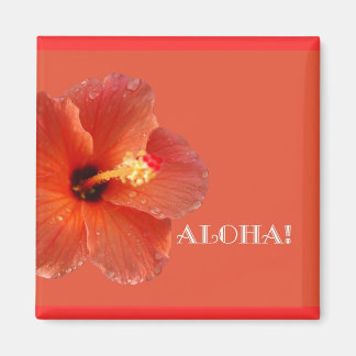 Aloha ! Aimant Hibiscus