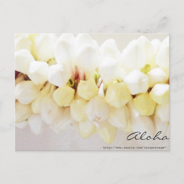 Aloha and Mahalo Postcard (Front)