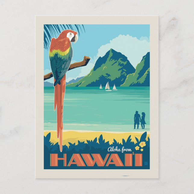 Aloha fom Hawaii | Parrot Postcard (Front)