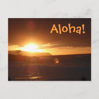 Aloha from Hawaii Postcard