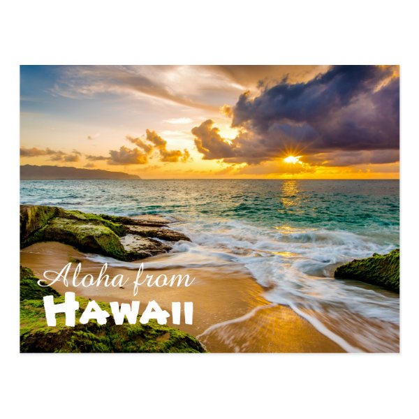 Tropical Postcards Zazzle CA