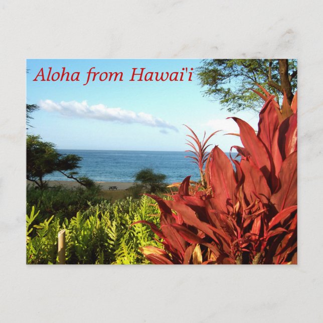 Aloha from Hawaii Postcard (Front)