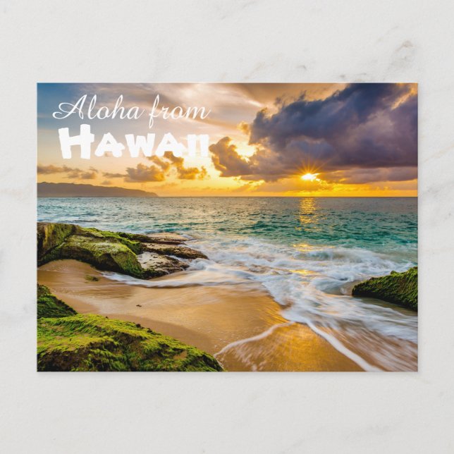 Aloha from Hawaii Postcard (Front)