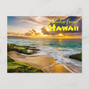 Aloha from Hawaii Postcard