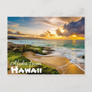 Aloha from Hawaii Postcard