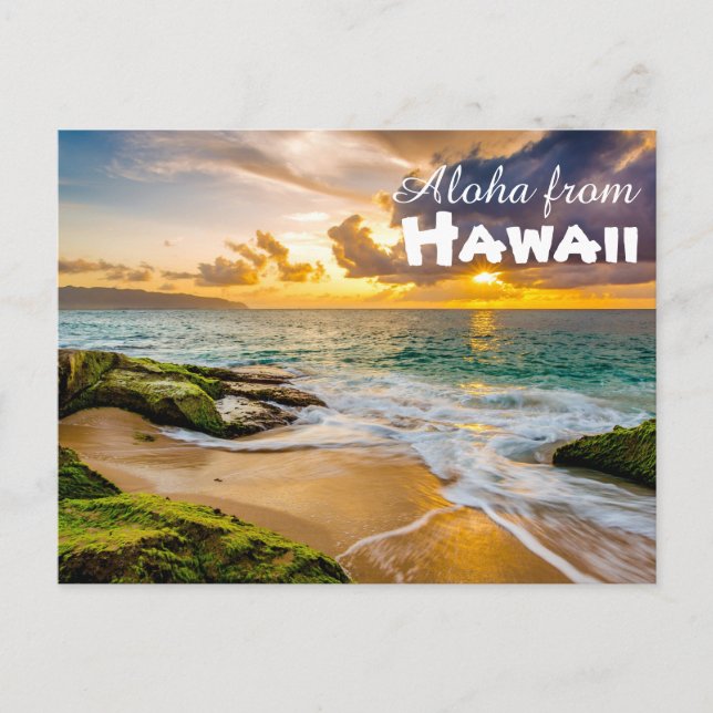Aloha from Hawaii Postcard (Front)