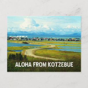 aloha from kotz postcard