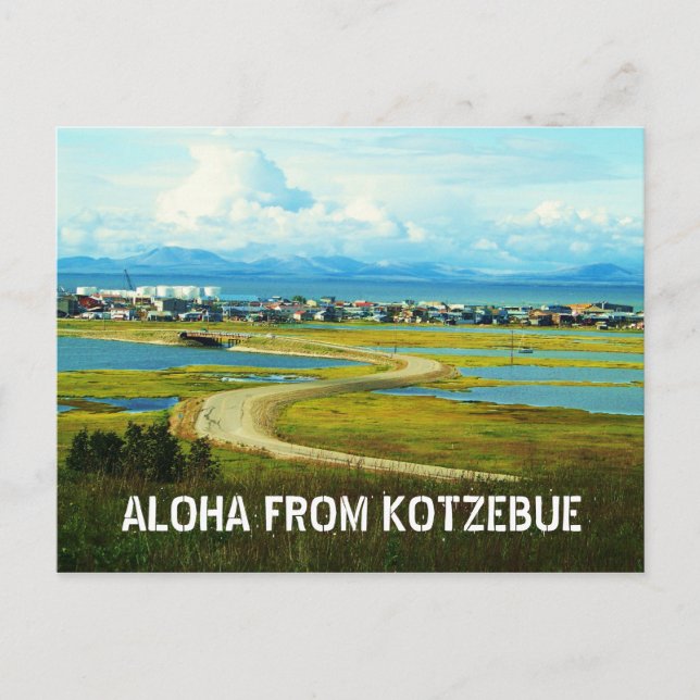 aloha from kotz postcard (Front)