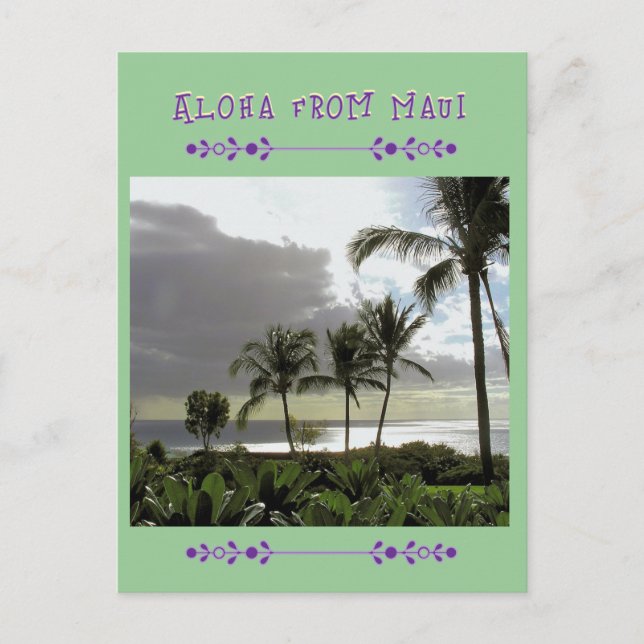 "ALOHA FROM MAUI"  Palm Trees  POST CARD (Front)