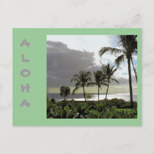 "ALOHA FROM MAUI" POSTCARD
