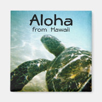 Aloha Hawaii Sea Turtle