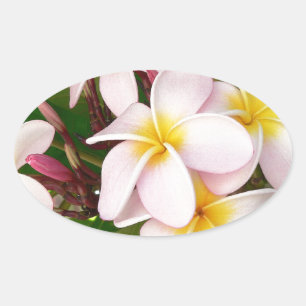 Aloha Hawaiian Frangipani Blossoms Bridal Shower Oval Sticker
