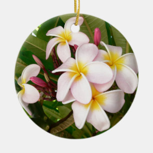 Aloha Hawaiian Frangipani Blossoms Plumerias Ceramic Ornament
