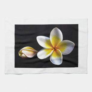 Aloha Hawaiian Frangipani Blossoms Plumerias Kitchen Towel
