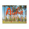 Aloha Hula