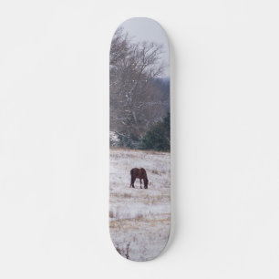 Alone In The Snow Skateboard