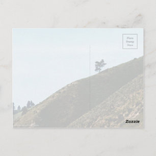 Alone Postcard