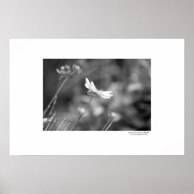 Alone Poster (Front)